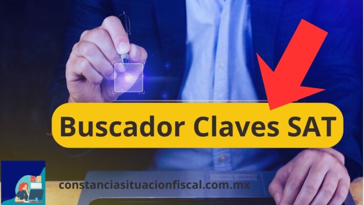 buscador claves y catalogos sat